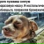 Серёга Рожков