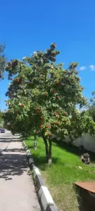 Фотография РАСКО-Энергосервис 0