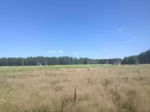 Фотография Новые Черемушки 4