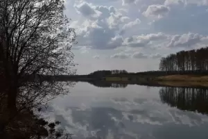 Фотография Проект Территория 4